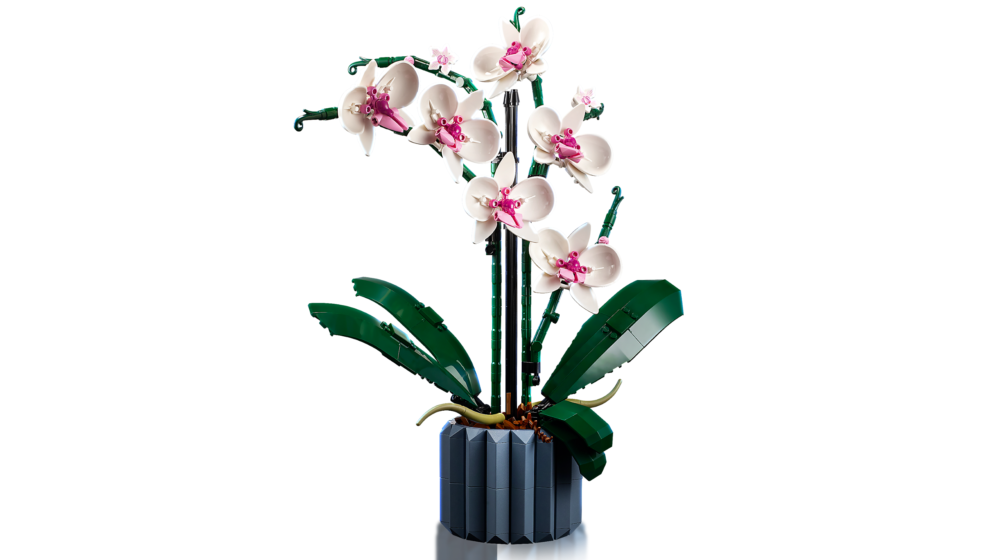 LEGO Orchids Graduation